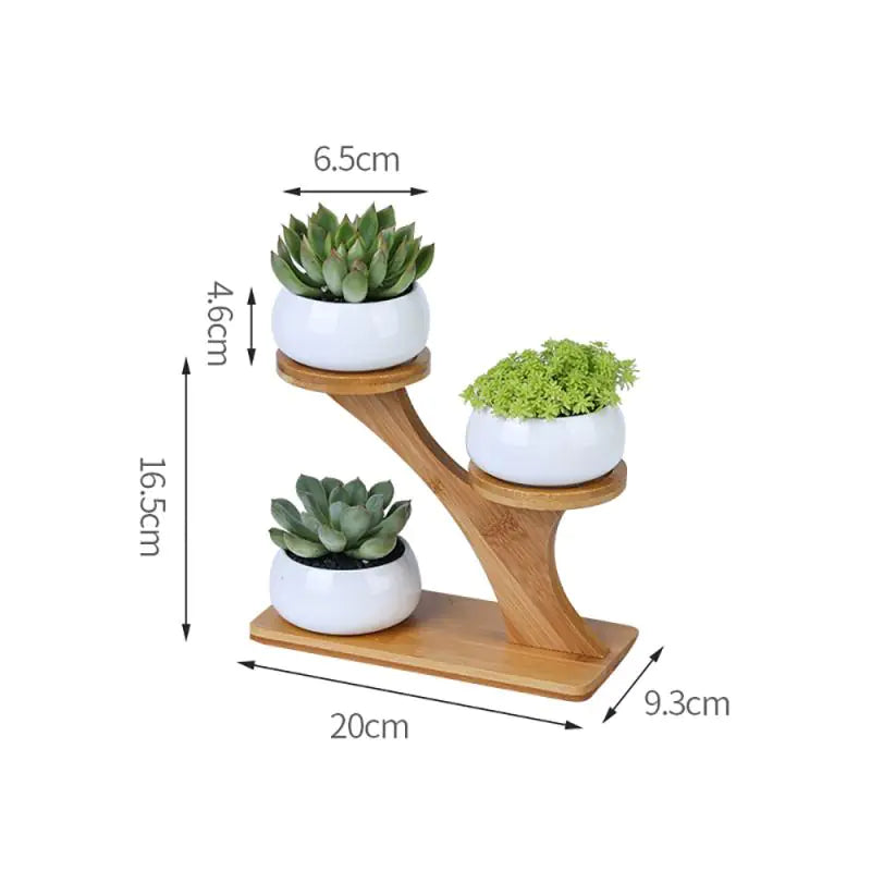 White Ceramic Succulent Pots with Bamboo Stand - 4 Styles Available
