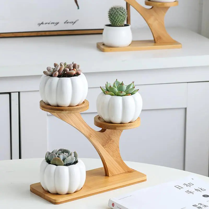 White Ceramic Succulent Pots with Bamboo Stand - 4 Styles Available