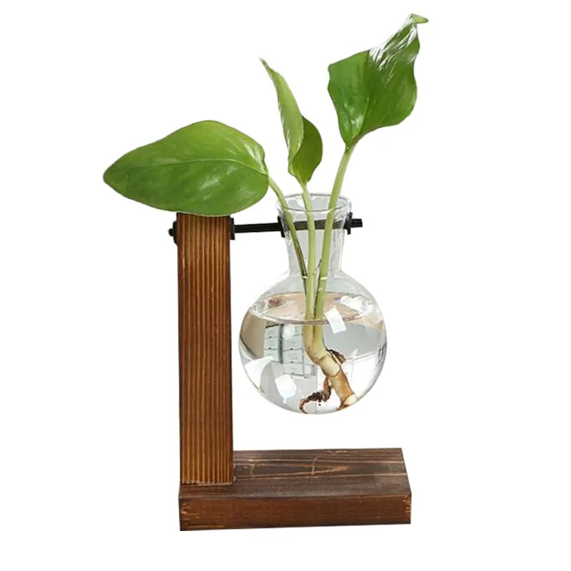 Vintage Wooden Frame Glass Terrarium Vase for Hydroponic Plants